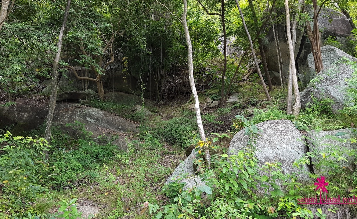 Laem Set Sea View Land For Sale Koh Samui – Land in Koh Samui (photo 4)