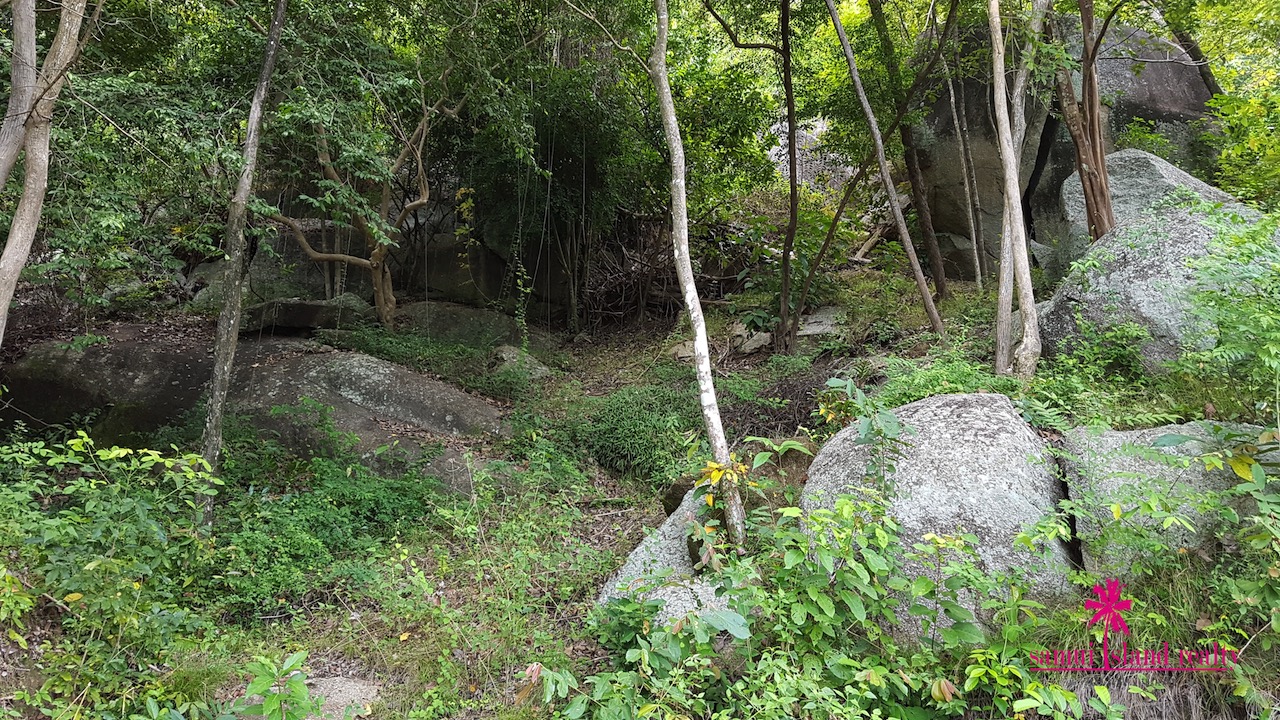 Laem Set Sea View Land For Sale Koh Samui – image 4 Laem Set Sea View Land For Sale Koh Samui – Land in Koh Samui (photo 4)