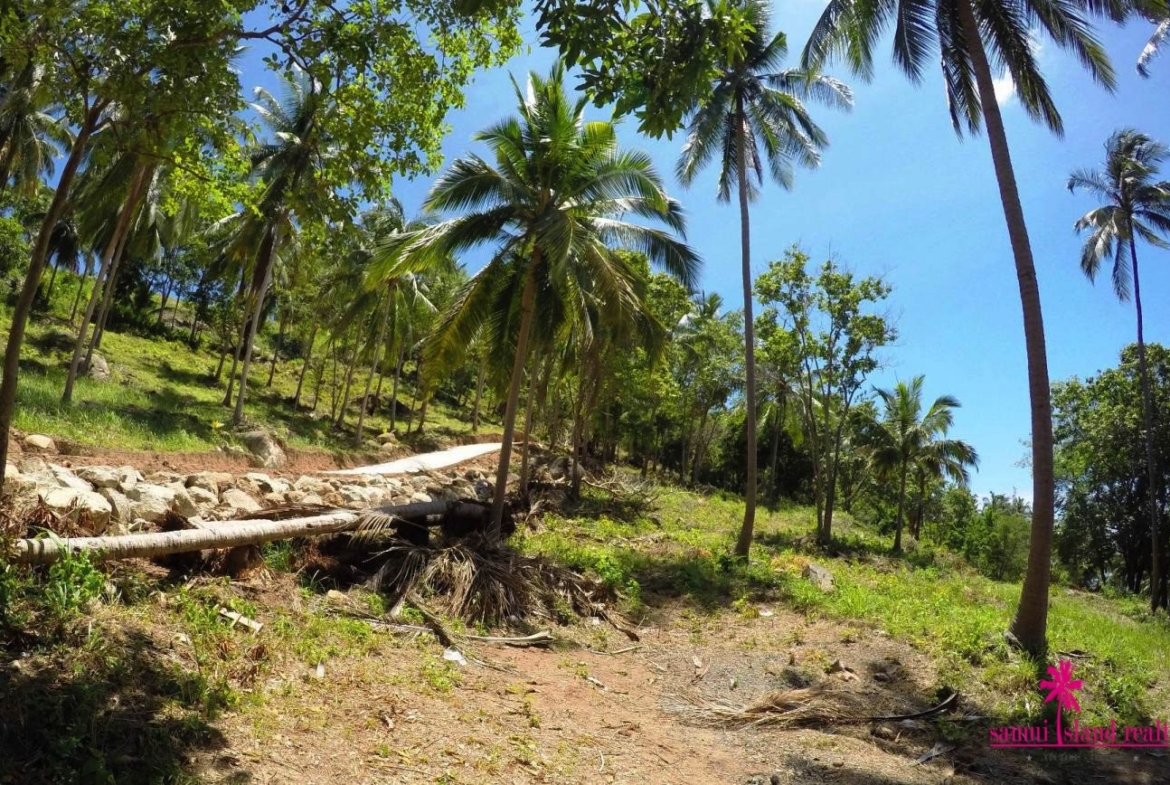 Sea View Land For Sale Chaweng Noi – Land in Koh Samui (photo 8)