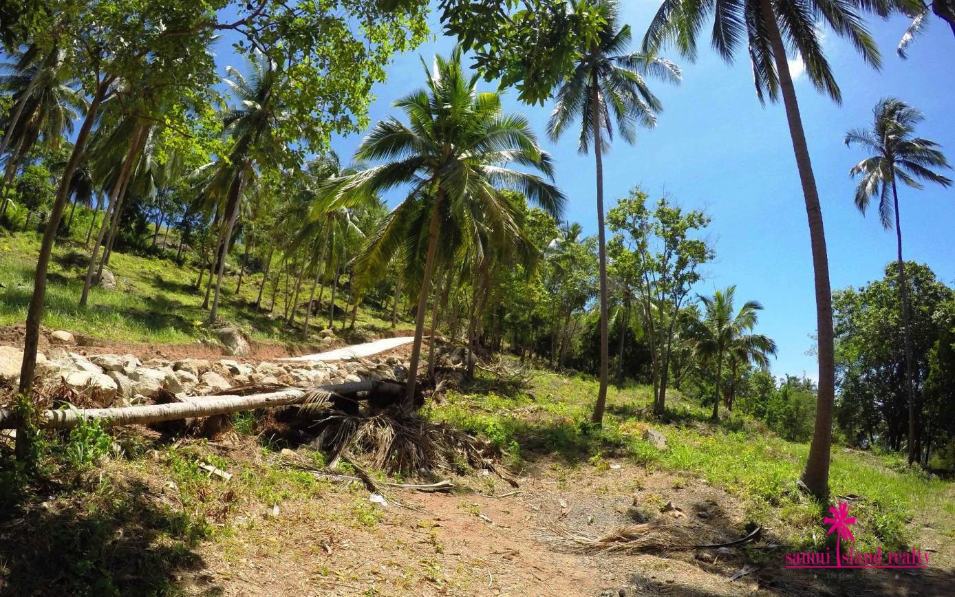 Sea View Land For Sale Chaweng Noi – image 8 Sea View Land For Sale Chaweng Noi – Land in Koh Samui (photo 8)