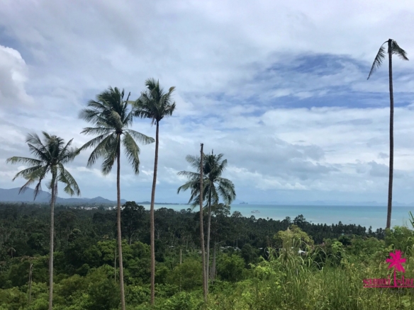 Sunset Sea View Plots For Sale Samui – Land in Koh Samui, Thailand