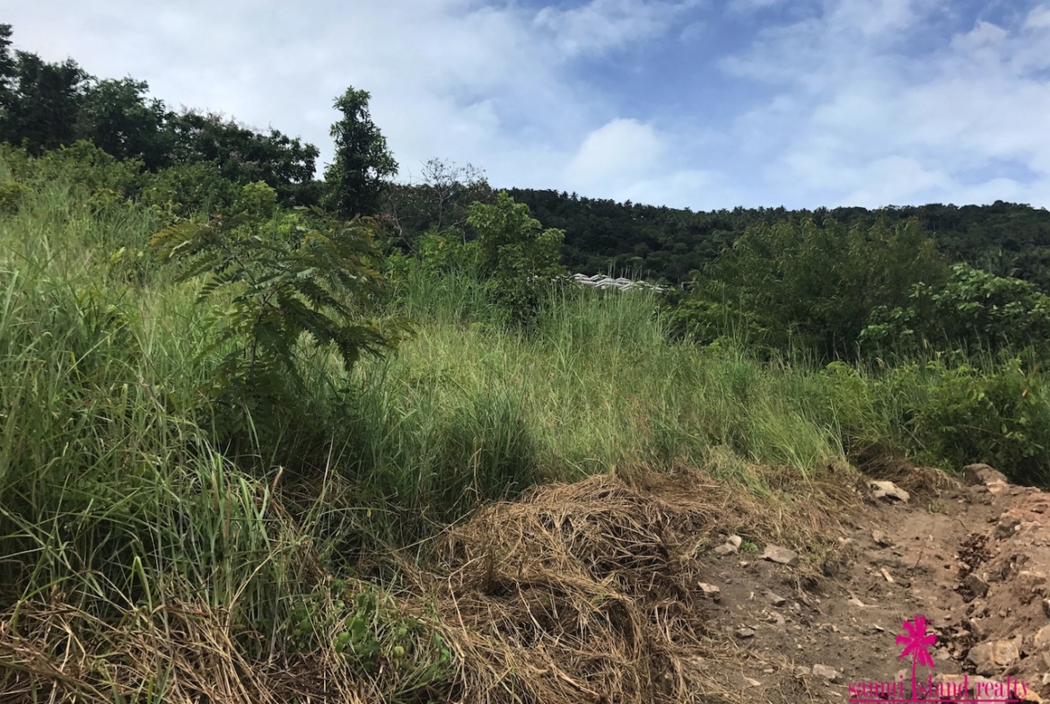 Sunset Sea View Plots For Sale Samui – Land in Koh Samui (photo 3)