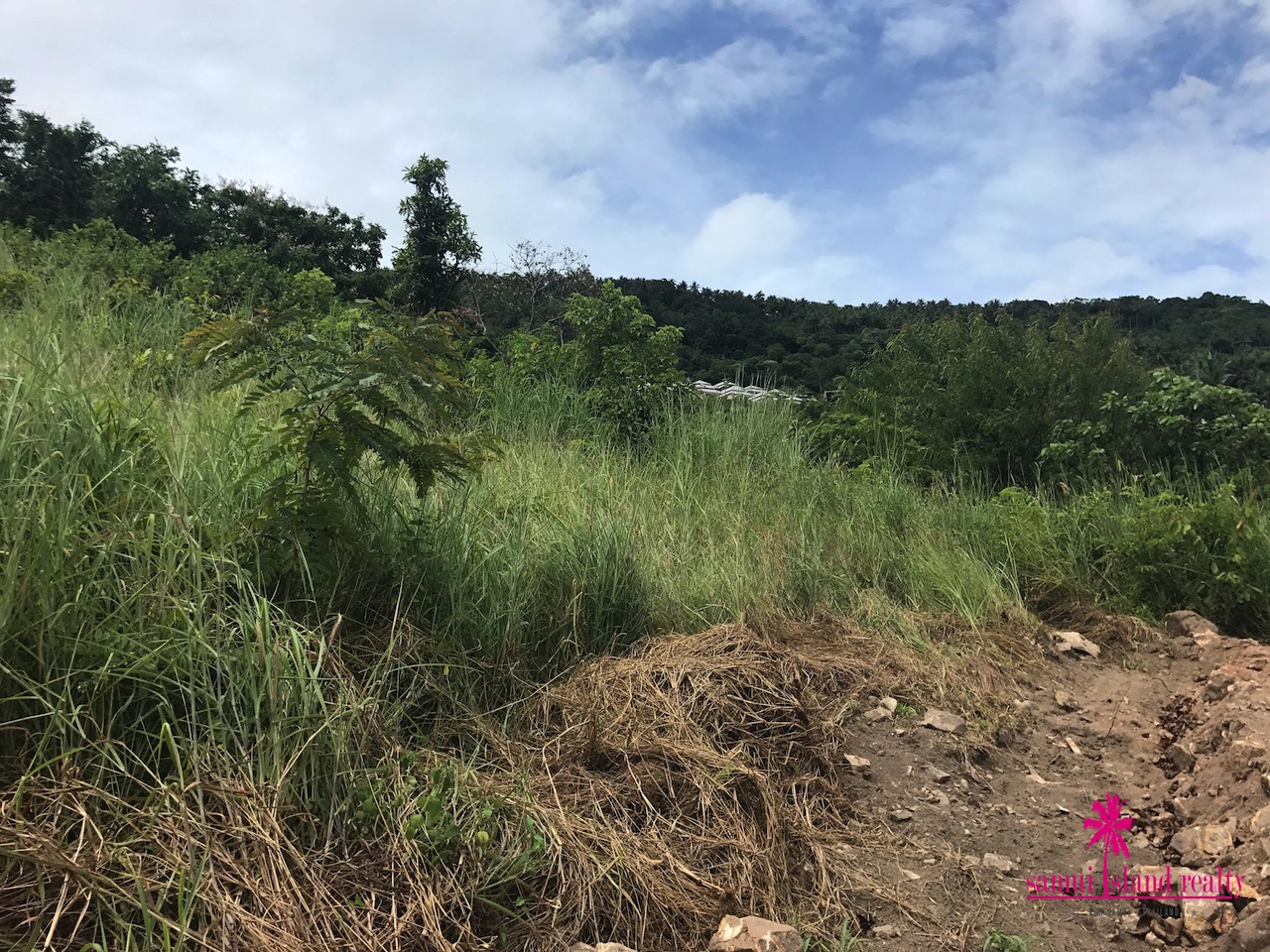 Sunset Sea View Plots For Sale Samui – Land in Koh Samui (photo 3)