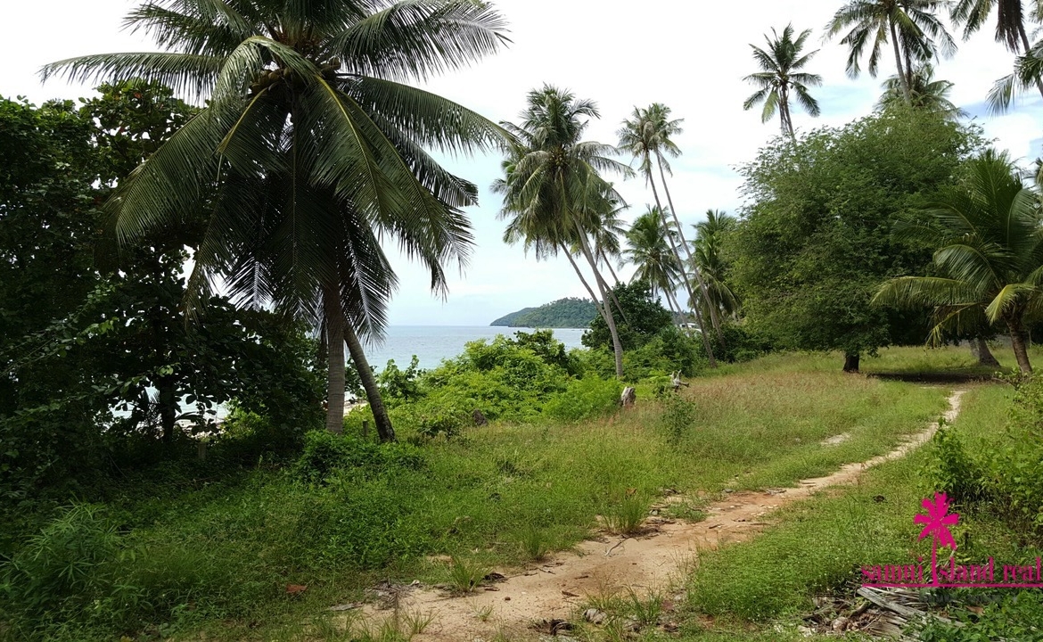 Taling Ngam Beachfront Land For Sale Koh Samui – Land in Koh Samui (photo 3)