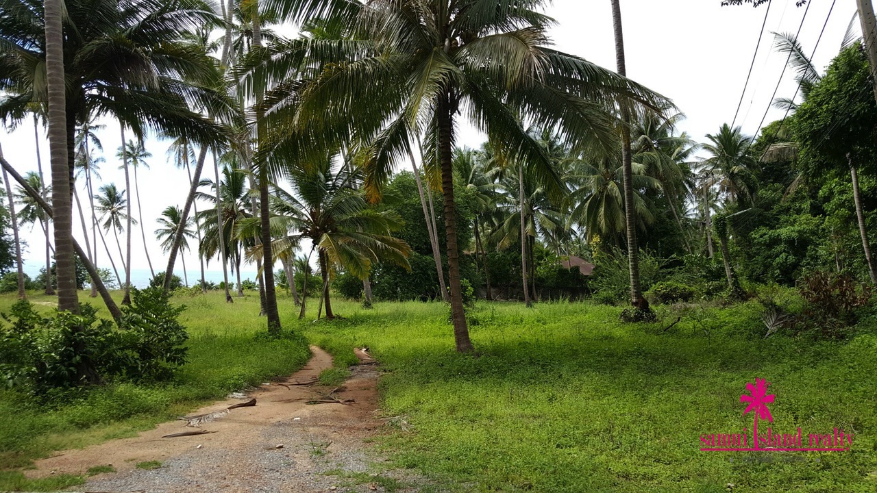Taling Ngam Beachfront Land For Sale Koh Samui – Land in Koh Samui (photo 1)
