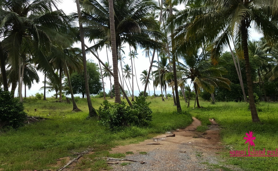 Taling Ngam Beachfront Land For Sale Koh Samui – Land in Koh Samui (photo 2)