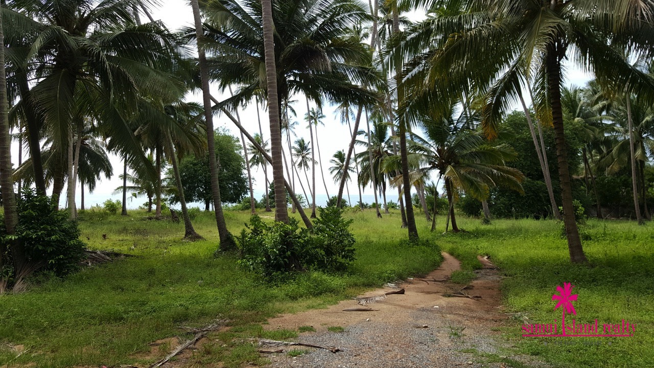 Taling Ngam Beachfront Land For Sale Koh Samui – Land in Koh Samui (photo 2)