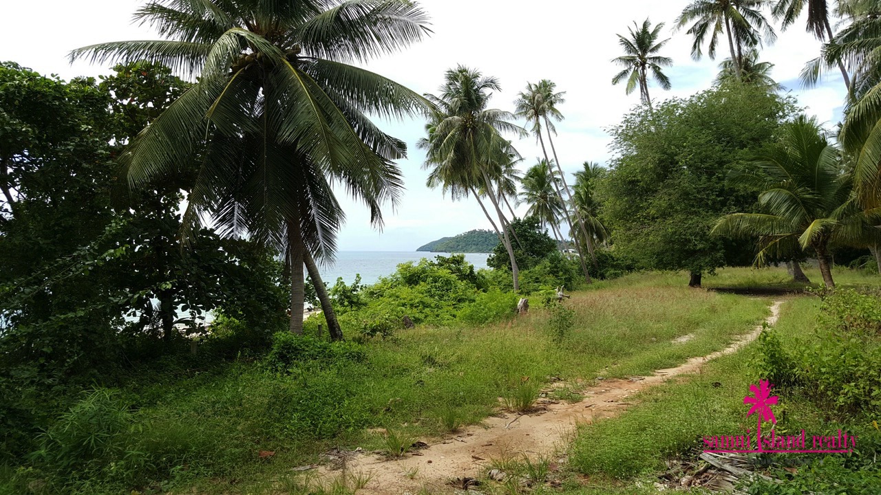 Taling Ngam Beachfront Land For Sale Koh Samui – Land in Koh Samui (photo 3)
