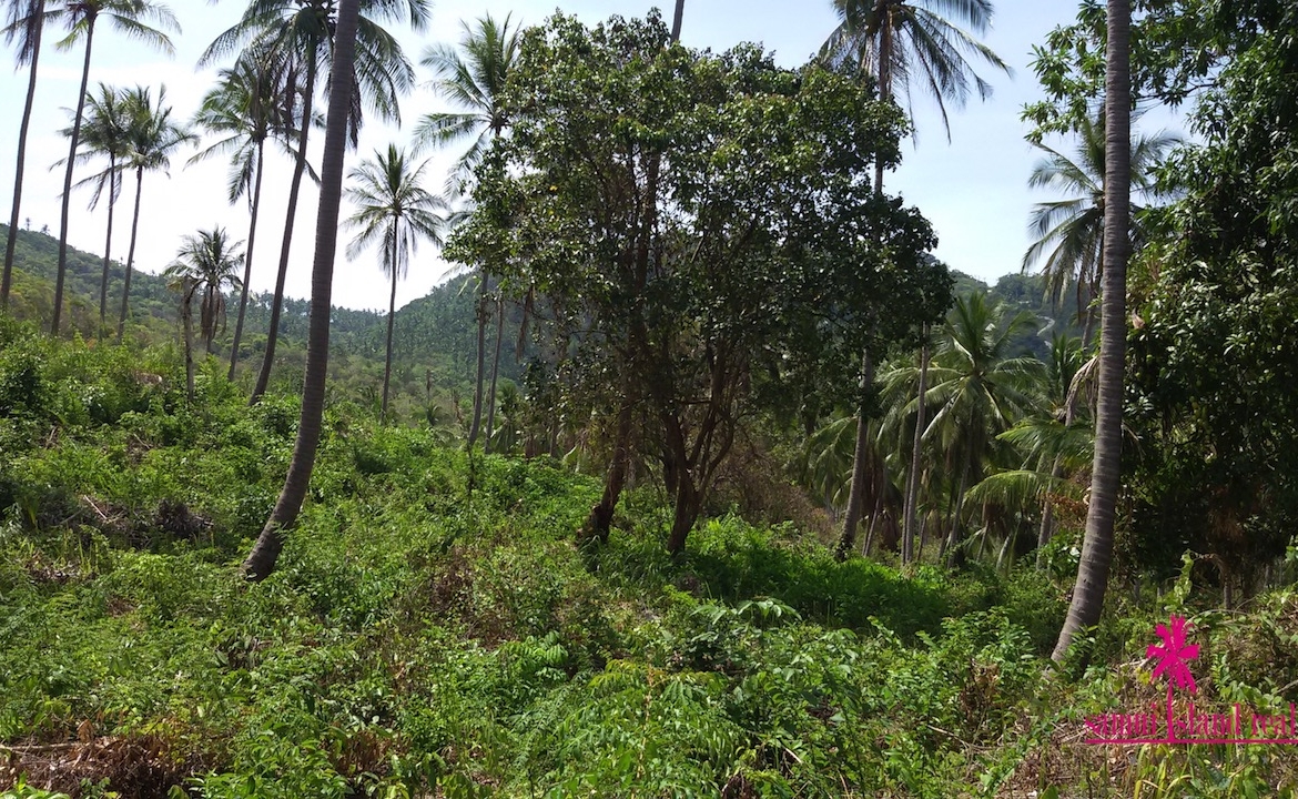 Taling Ngam Sea View Land For Sale Koh Samui – Land in Koh Samui (photo 1)