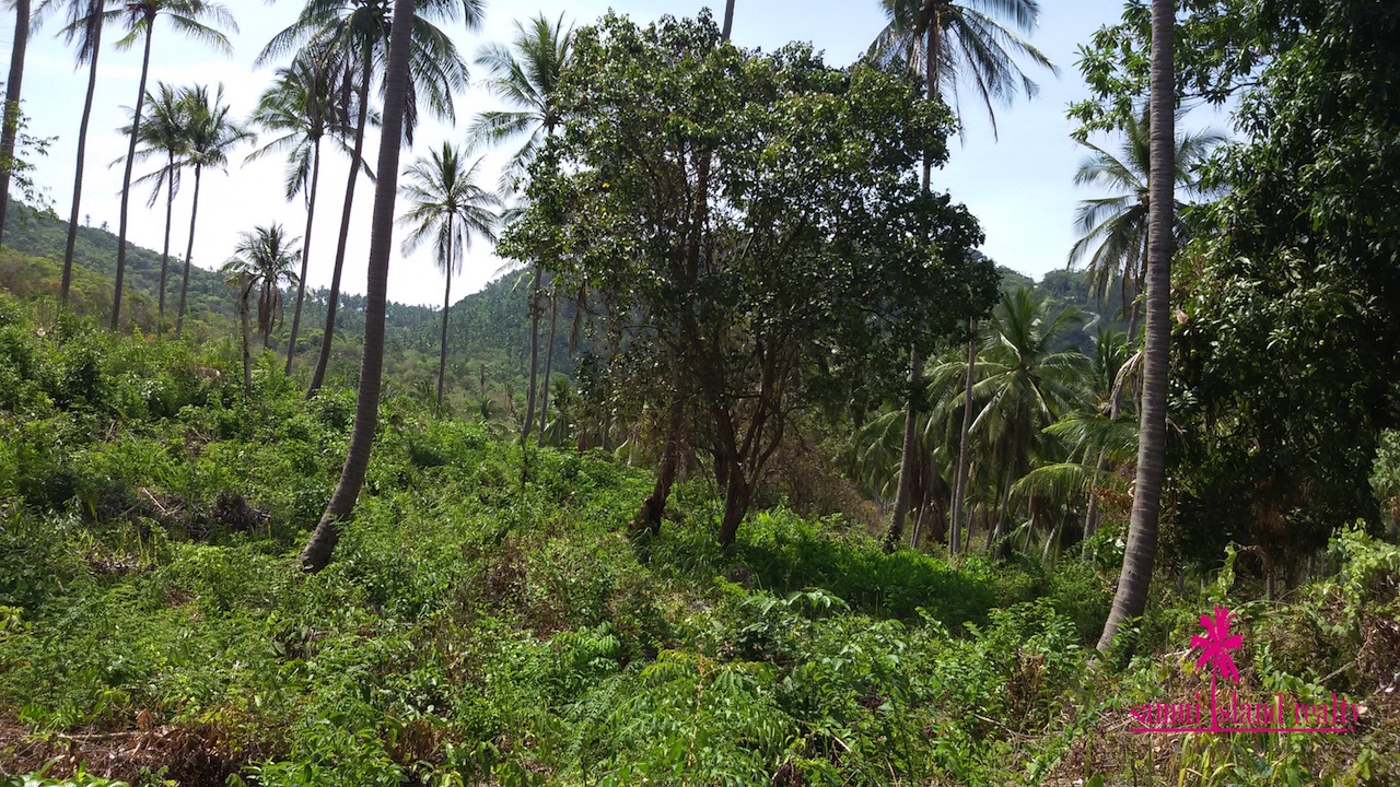 Taling Ngam Sea View Land For Sale Koh Samui – image 1 Taling Ngam Sea View Land For Sale Koh Samui – Land in Koh Samui (photo 1)