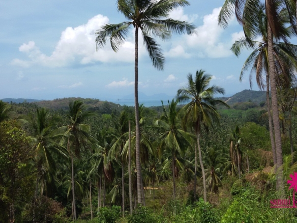 Taling Ngam Sea View Land For Sale Koh Samui – Land in Koh Samui, Thailand