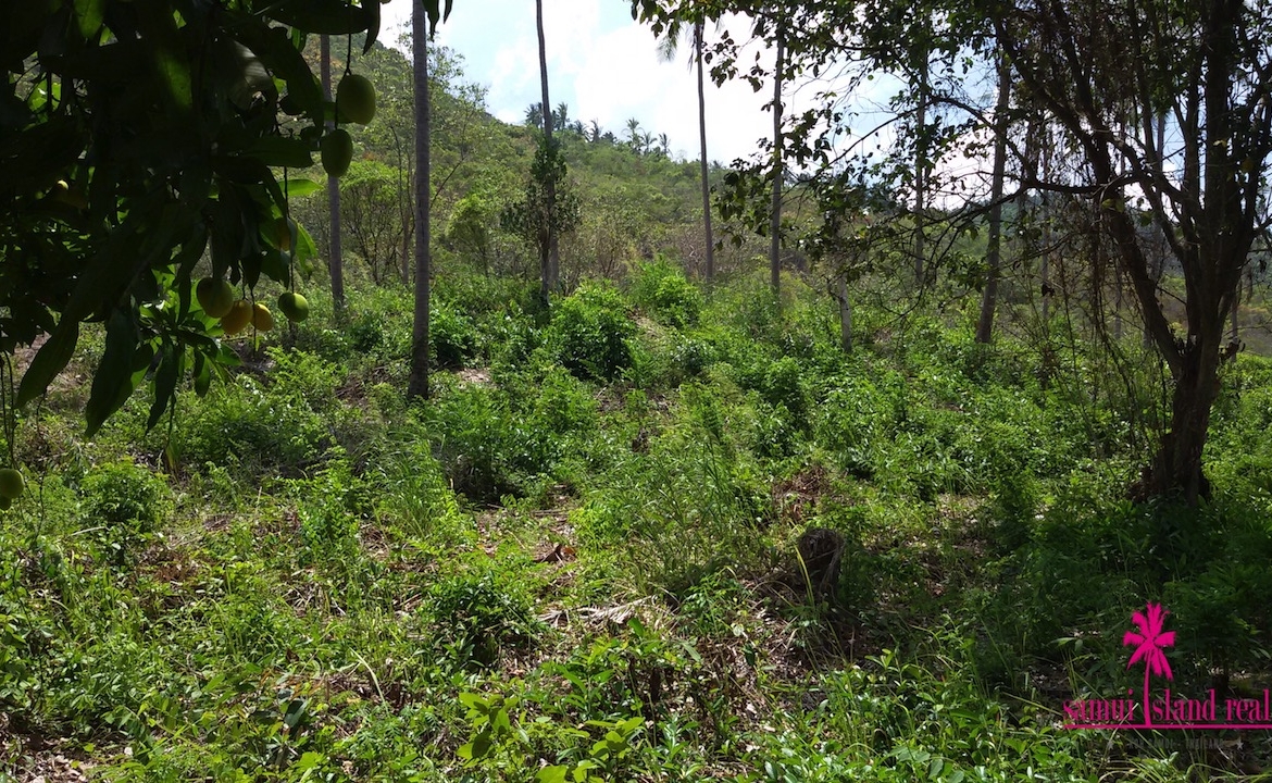 Taling Ngam Sea View Land For Sale Koh Samui – Land in Koh Samui (photo 2)