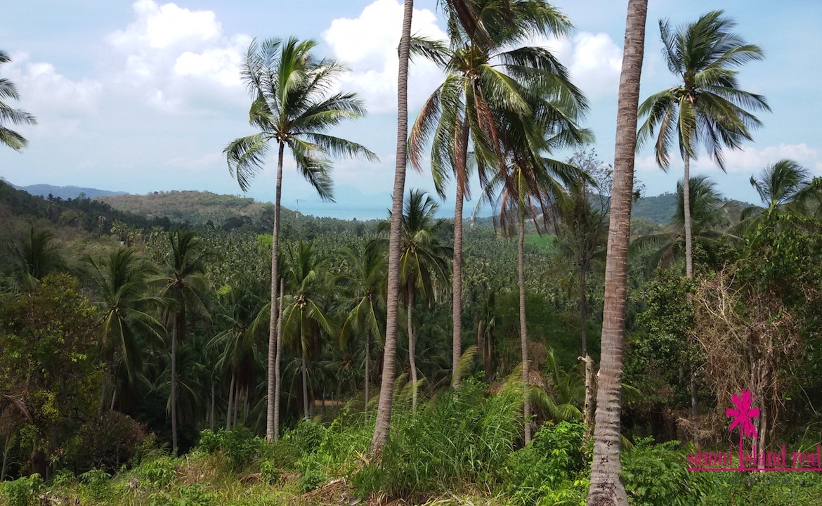 Taling Ngam Sea View Land For Sale Koh Samui – Land in Koh Samui (photo 3)