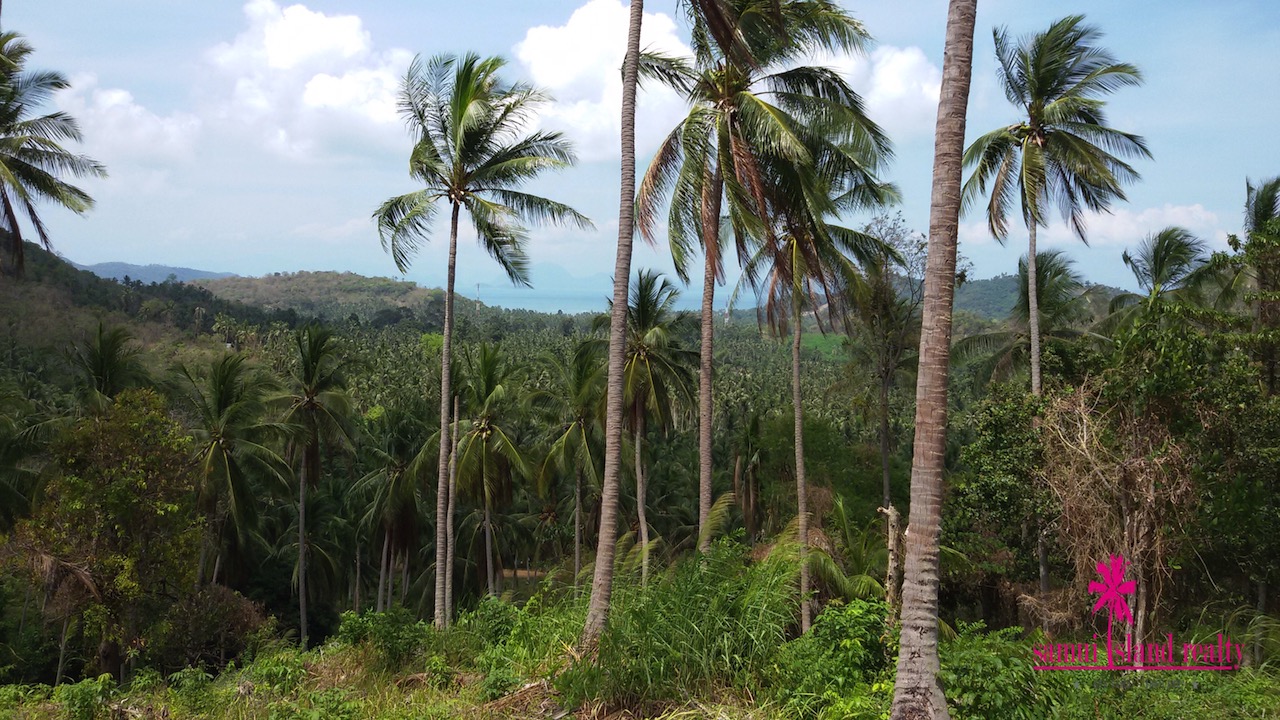 Taling Ngam Sea View Land For Sale Koh Samui – image 3 Taling Ngam Sea View Land For Sale Koh Samui – Land in Koh Samui (photo 3)
