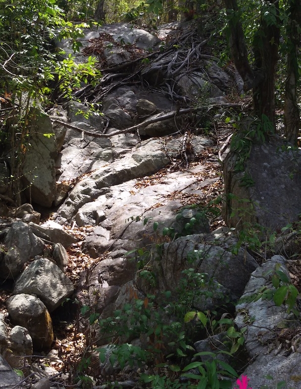 Taling Ngam Sea View Land For Sale Koh Samui – Land in Koh Samui (photo 4)